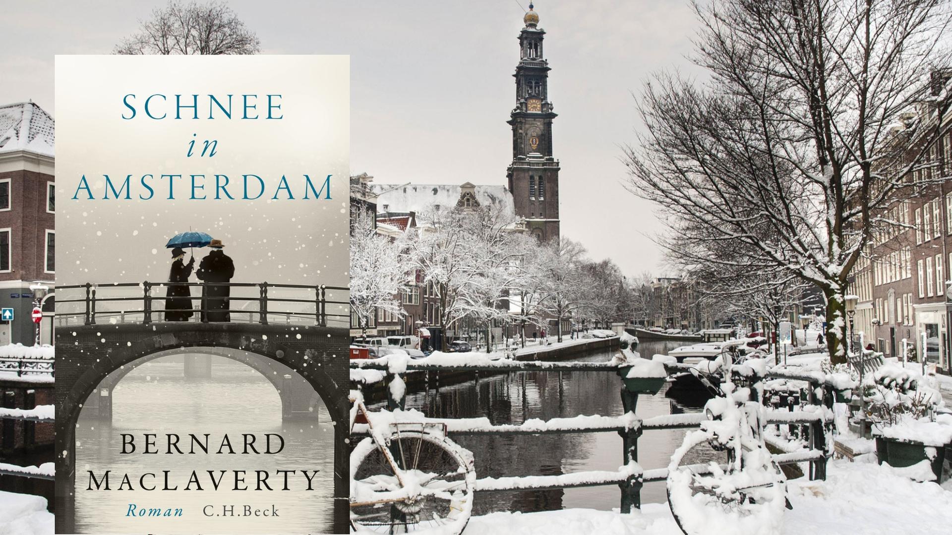 Buchcover: Bernard MacLaverty: „Schnee in Amsterdam“