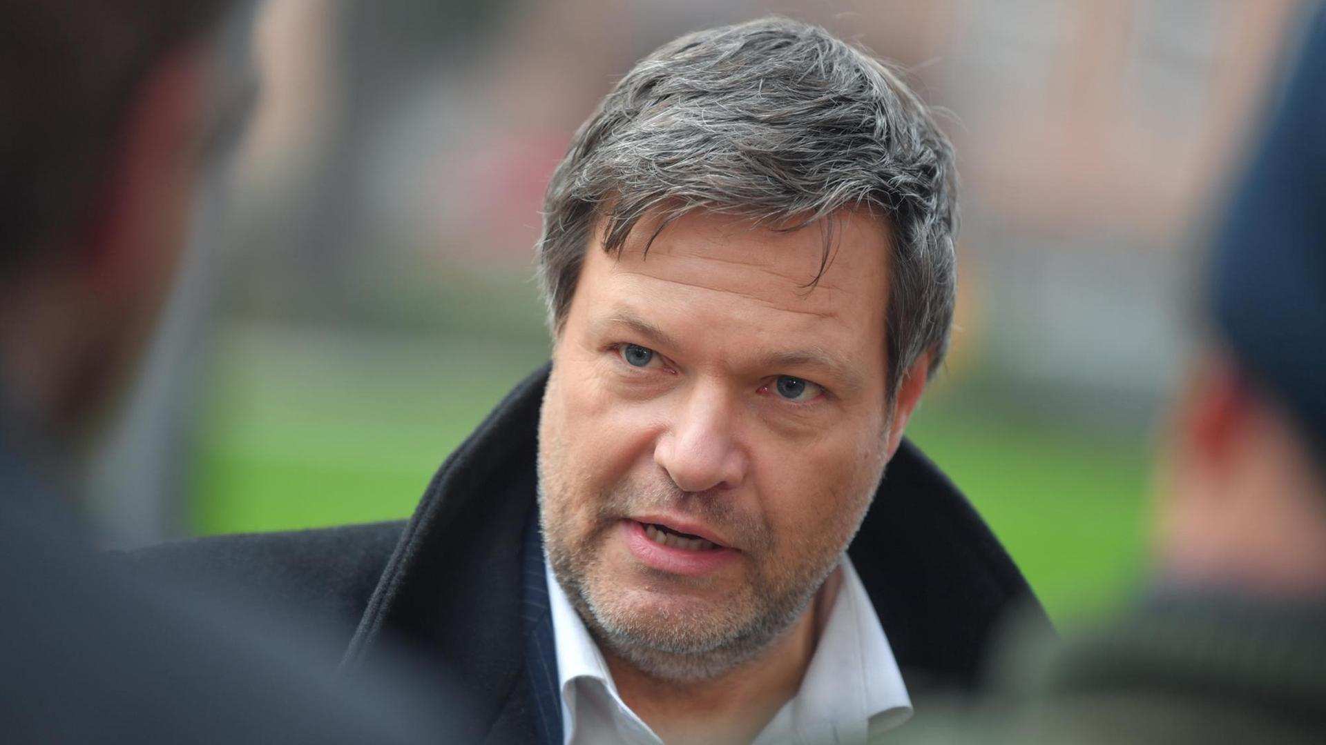 Grünen-Co-Chef Robert Habeck