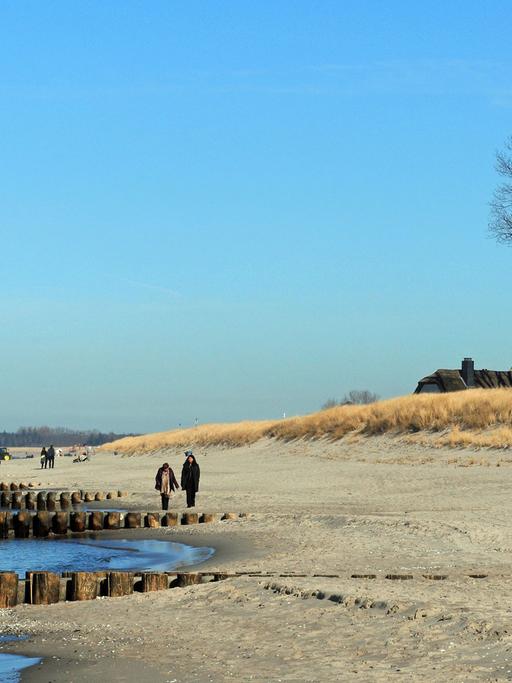 Der Ostseestrand in Ahrenshoop auf der Halbinsel Fischland - Darss
