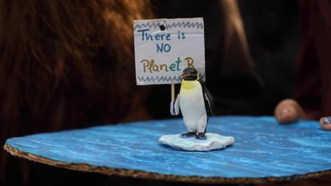 Eine Figur eines Pinguins steht auf blauer Pappe, dahinter eine kleines Schild mit der Aufschrift: There is NO Planet B.