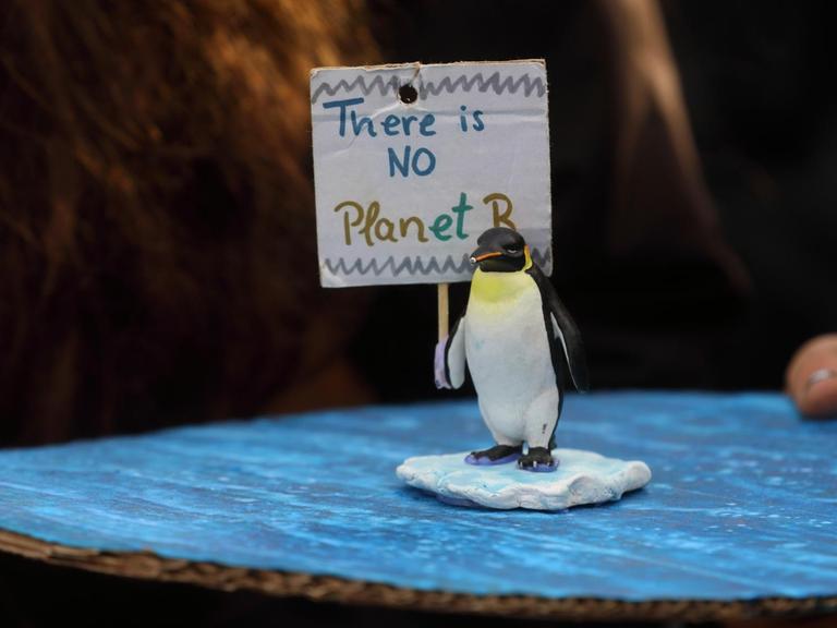 Eine Figur eines Pinguins steht auf blauer Pappe, dahinter eine kleines Schild mit der Aufschrift: There is NO Planet B.