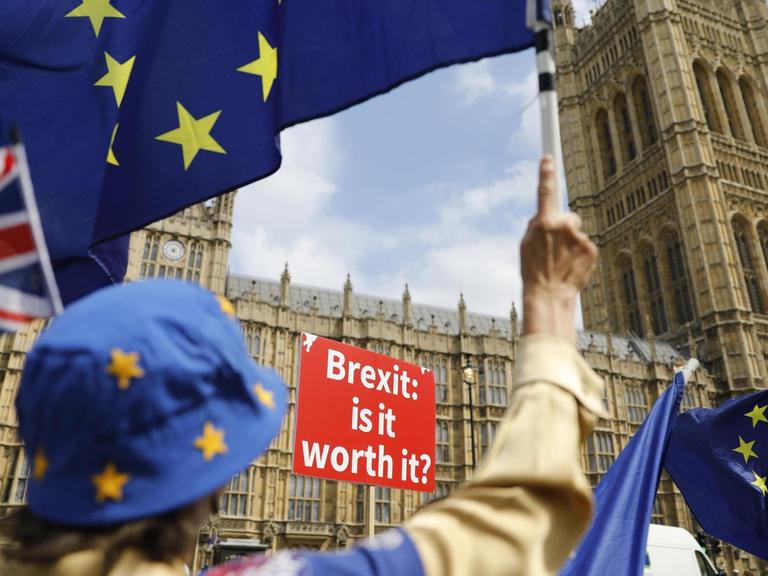 Anti-Brexit-Demonstranten vor dem Parlament in London