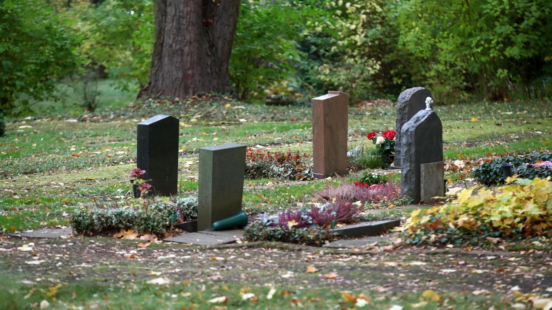 Thüringen, Gera: Grabsteine stehen auf dem Ostfriedhof.