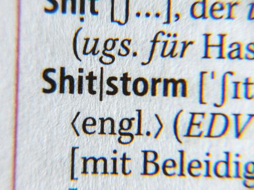 Der Begriff "Shitstorm" in einer Großansicht im Duden.