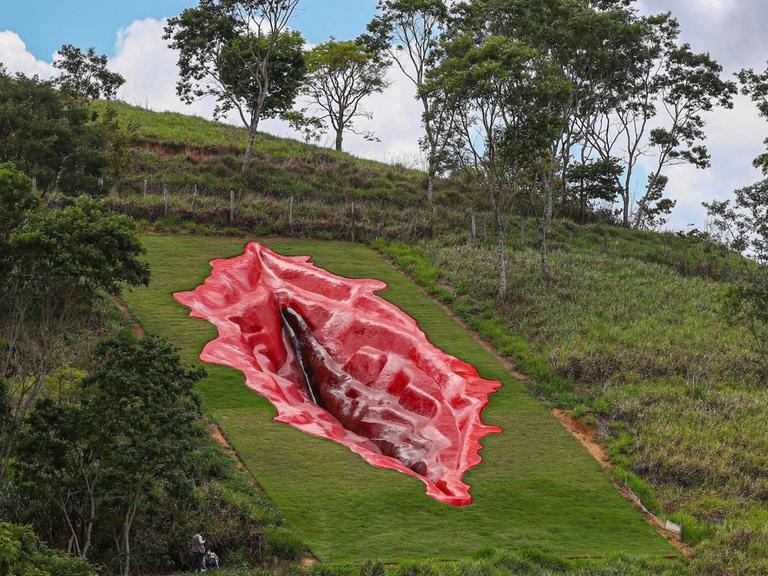 Eine Vulva-Skulptur der Künstlerin Juliana Notari auf einem Hügel in der Pernambuco Region in Brasilien sorgt für heftigen Streit.
