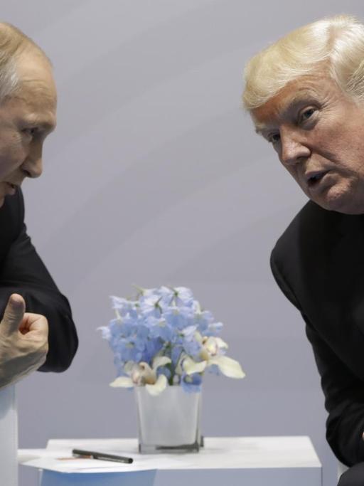 Das Bild zeigt US-Präsident Donald Trump und den russischen Präsidenten Wladimir Putin.