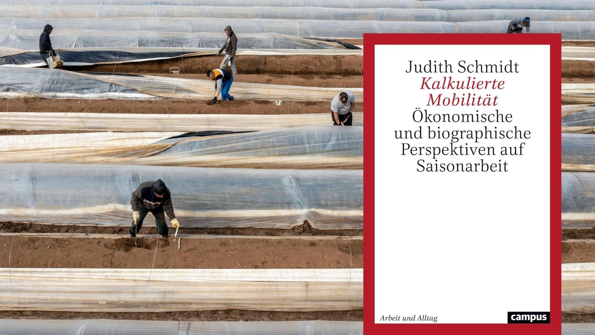 Buchcover Judith Schmidt: "Kalkulierte Mobilität. Ökonomische und biographische Perspektiven auf Saisonarbeit“. Im Hintergrund Saisonarbeiter auf einem Spargelfeld.