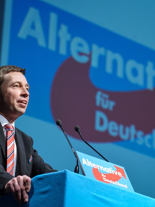 AfD-Chef Lucke spricht auf dem Bundesparteitag in Aschaffenburg an einem Rednerpult, im Hintergrund ist das Logo der Alternative für Deutschland auf blauem Grund sichtbar