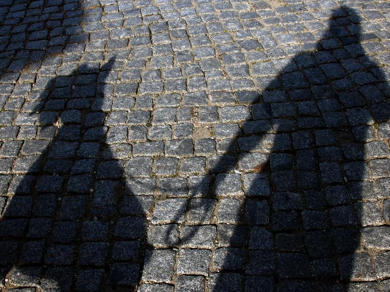Ein Hund und sein Halter werfen am Schatten auf das Pflaster einer Straße, aufgenommen am 08.07.2007
