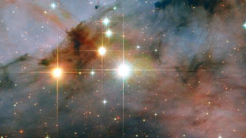 Aufnahme des Hubble Teleskops zeigt die neu entdeckten Sterne WR 25 und Tr16-244 im offenen Cluster Trumpler 16 im Carina-Nebel.