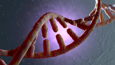 3D Modell einer Doppelhelix
