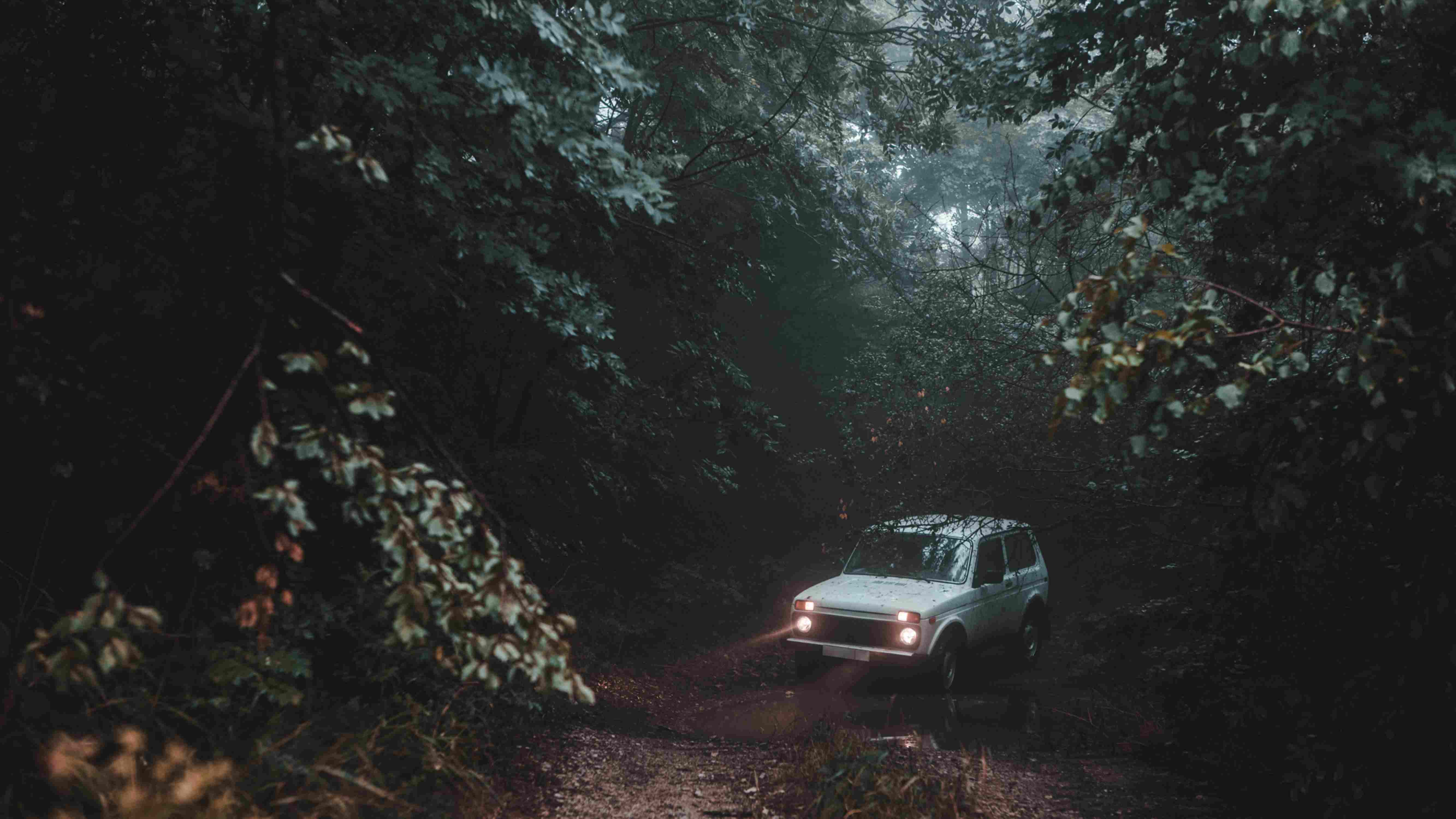 Ein weißes Auto mit Scheinwerfern mitten auf einem Waldweg.