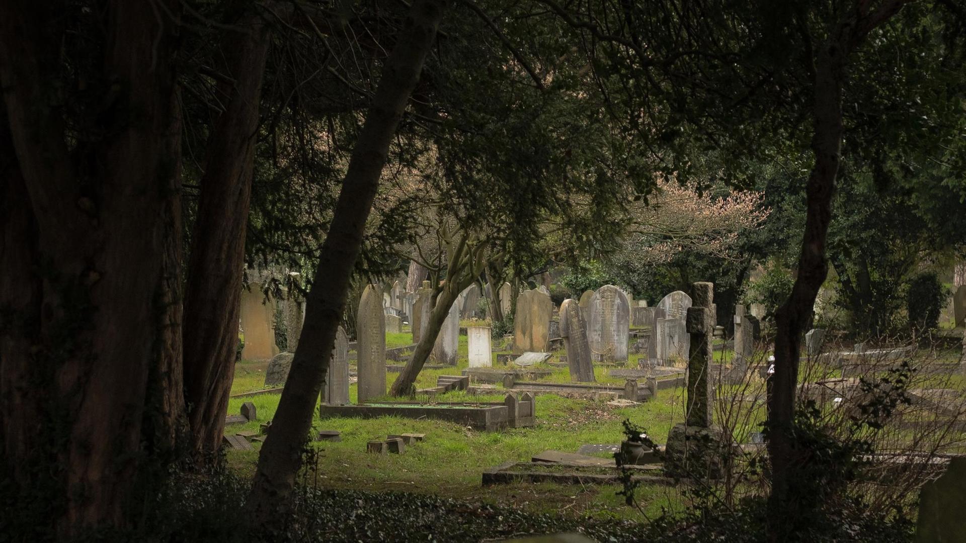 Hanwell Cemetery, London, United Kingdom, England.