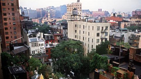 Der Roman spielt ausschließlich in New York City in den USA.