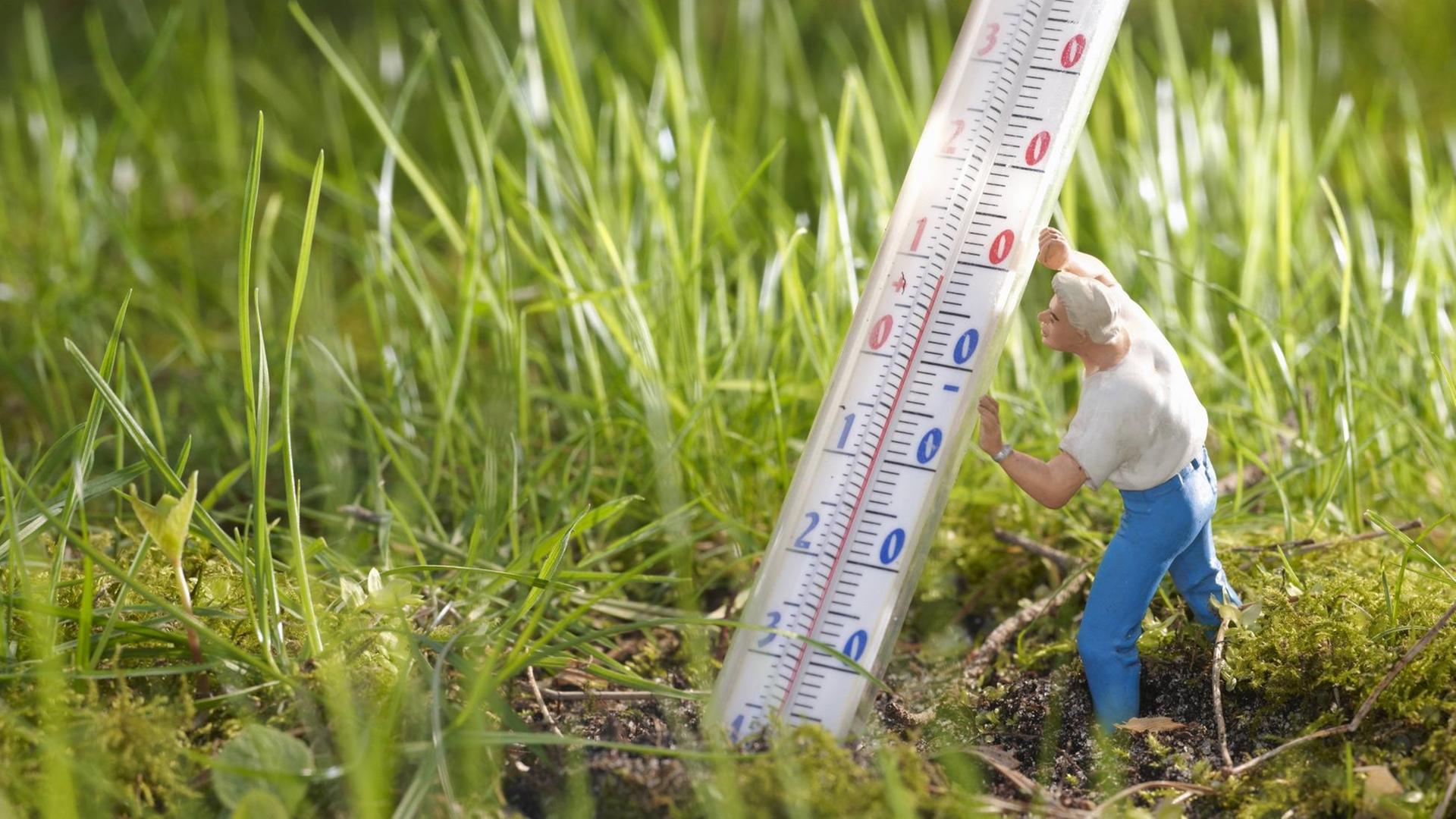 Eine kleine Figur steht auf einer Wiese und hält ein großes Thermometer in der Hand. 