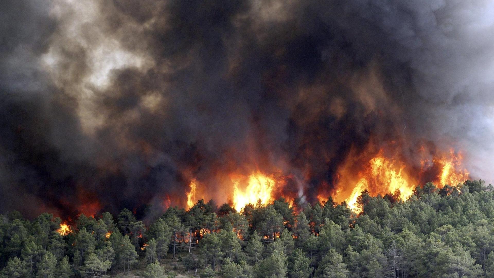Waldbrände wüten auf einem Berghang