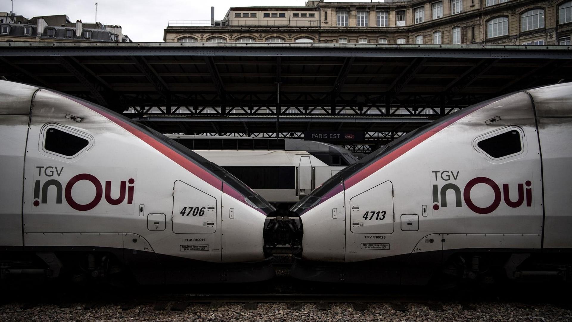 Das Foto zeigt einen TGV-Zug am Pariser Ostbahnhof.