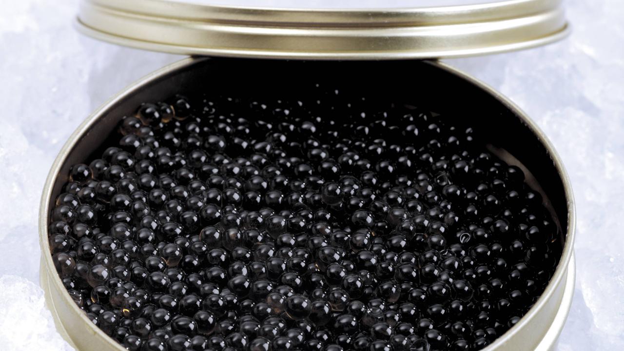 Der kostbare Beluga-Kaviar in einer Dose auf Eis.