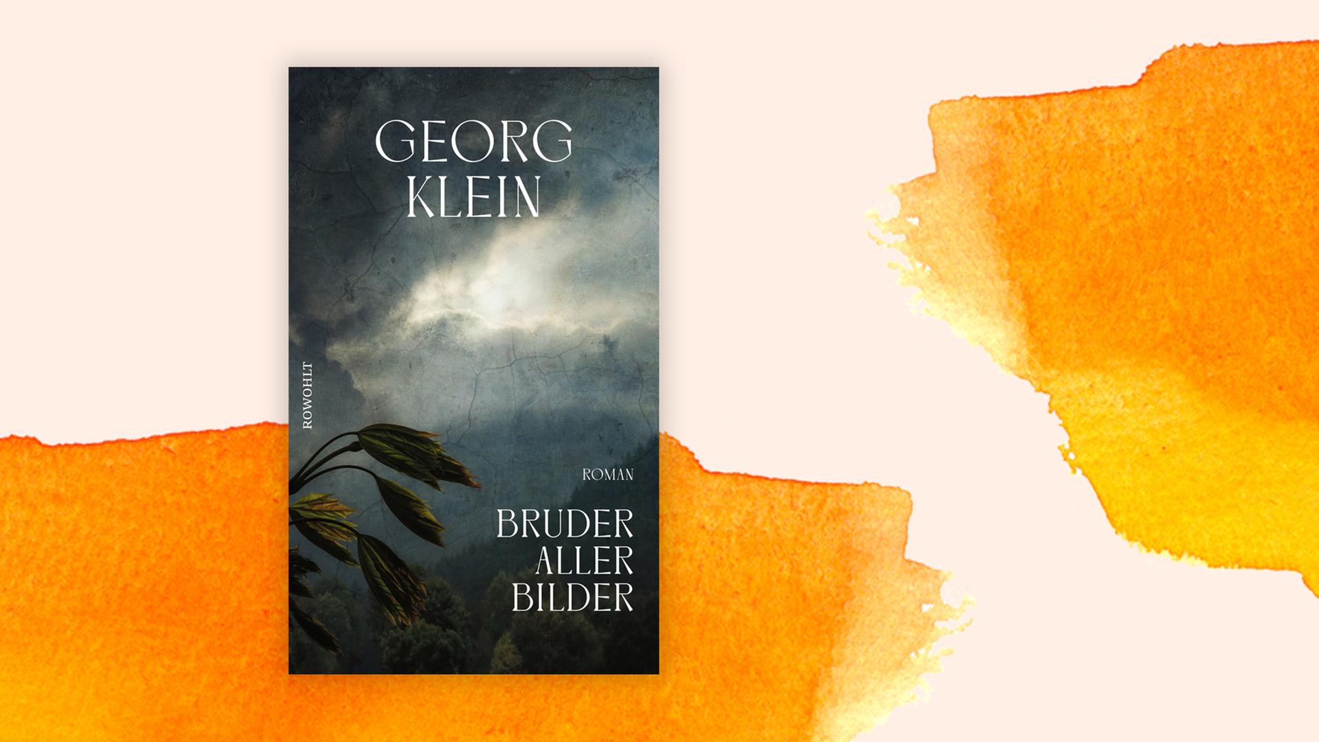 Cover des Buchs "Bruder aller Bilder" auf orangem Hintergrund