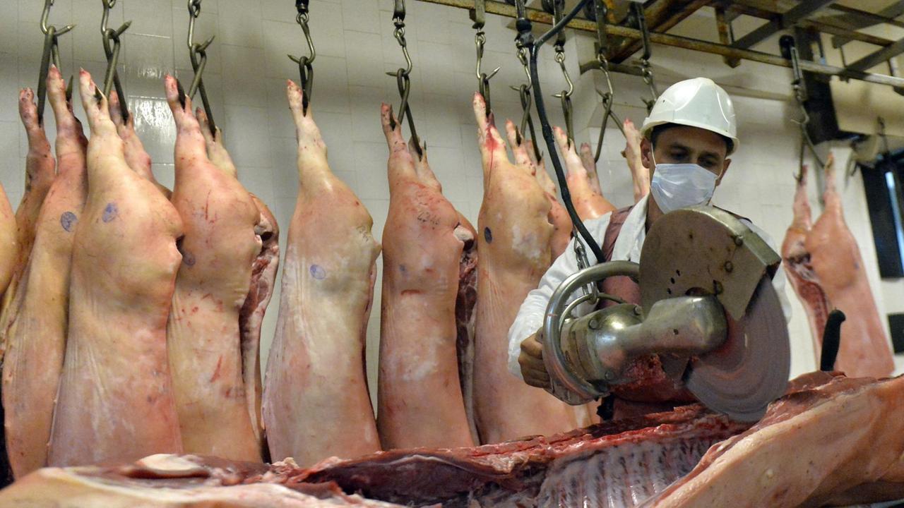 Umgang mit Schlachttieren - Gestresstes Schwein schmeckt nicht gut
