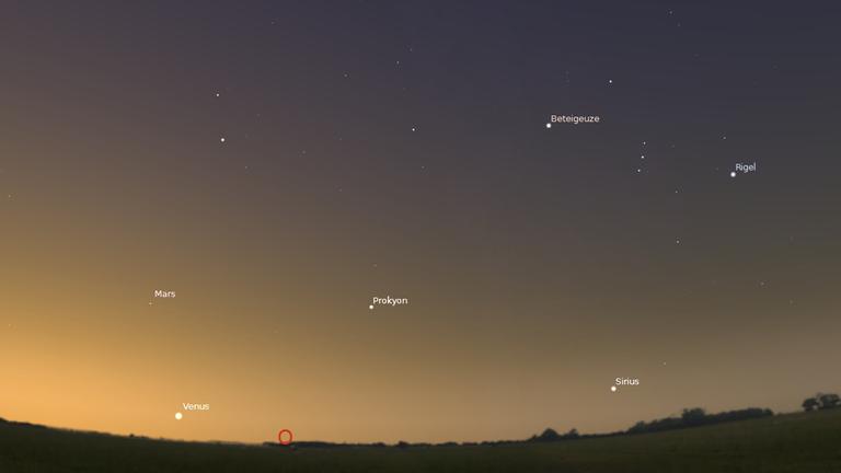 Venus zeigt sich jetzt morgens kurz vor Sonnenaufgang. Venus zeigt sich jetzt morgens kurz vor Sonnenaufgang.