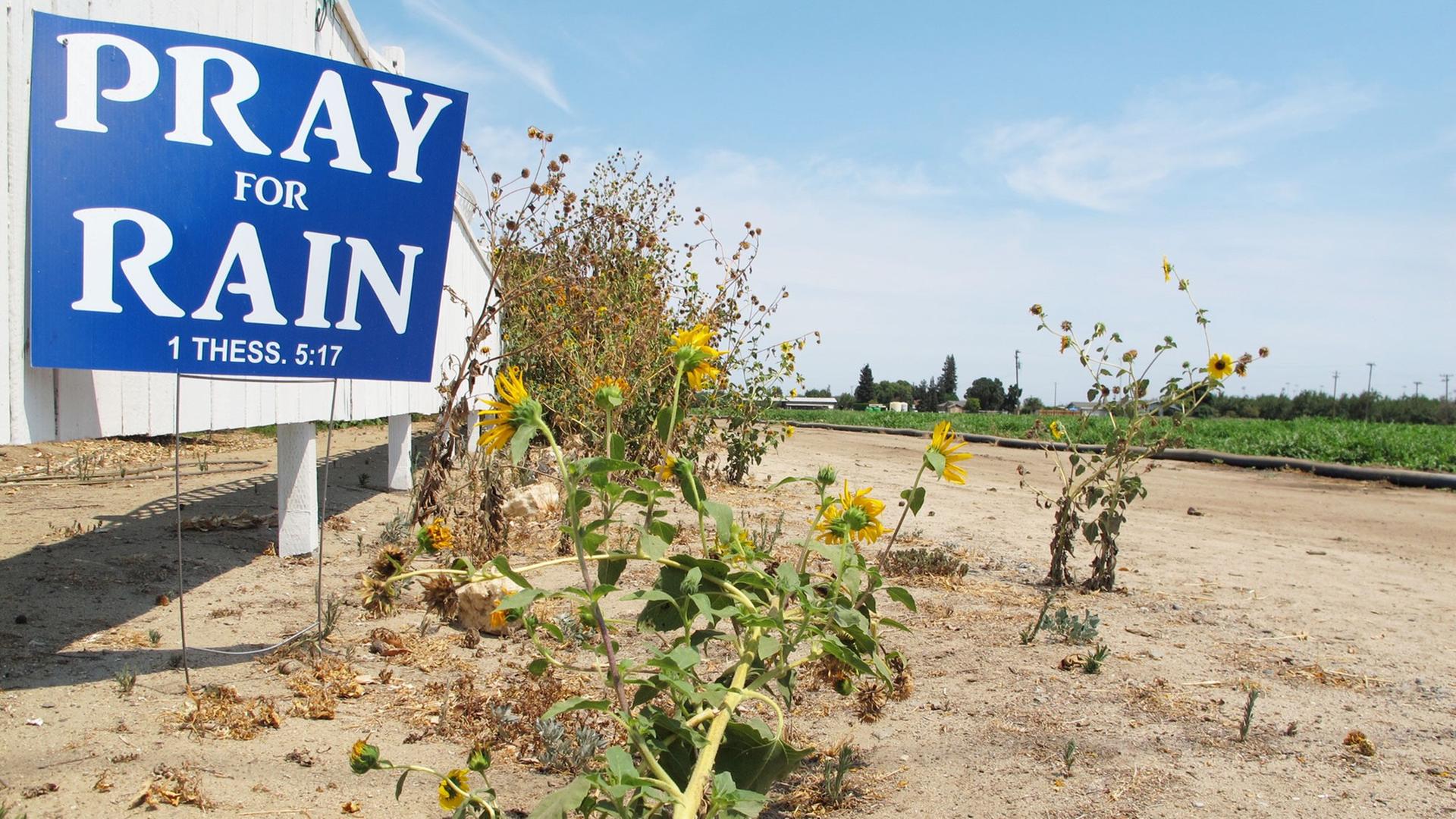 Ein Schild mit der Aufschrift "Pray for Rain" (Bete für Regen) steht am 30.07.2014 im Raum Stockton auf vertrocknetem Boden. Eine Dauer-Dürre trocknet Kalifornien schon seit drei Jahren aus.