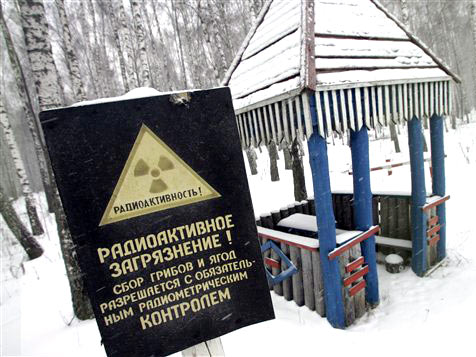 Ein Schild warnt in einem Wald in der Nähe von Tschernobyl vor dem Genuss von gesammelten Beeren und Pilzen.