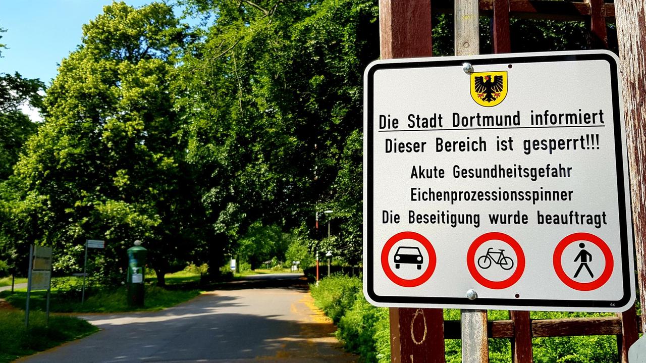 Wegen Befalls mit dem Eichenprozessionsspinner musste die Stadt Dortmund einen Park für mehrere Wochen sperren.