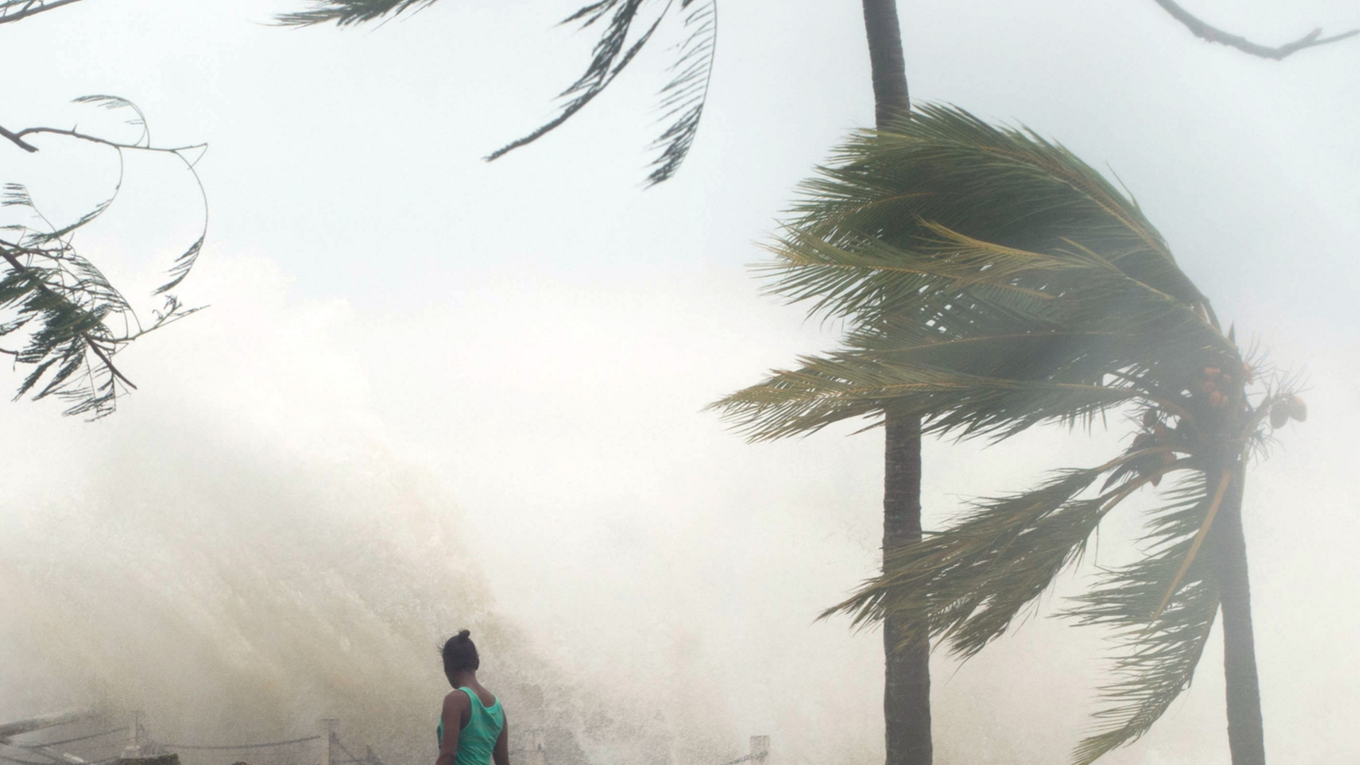 Eine Frau geht vor einer aufbrausenden Welle am Strand entlang. Palmen biegen sich im Sturm. Am Strand liegen Trümmer. 