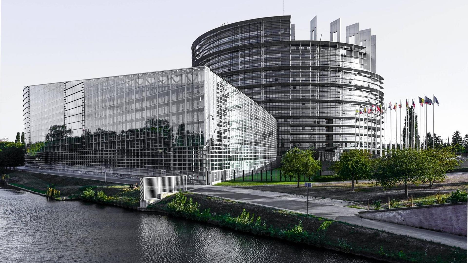 Korruptionsvorwürfe in Brüssel: Belgische Staatsanwaltschaft fordert Aufhebung der Immunität von fünf EU-Abgeordneten – Was steckt dahinter?
