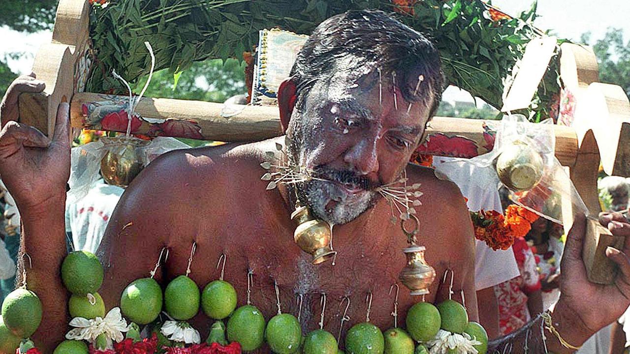 Ein Hindu trägt beim jährlichen Kavady-Festival einen mit Nadeln und Haken versehenen Holzbanken auf den Schultern.