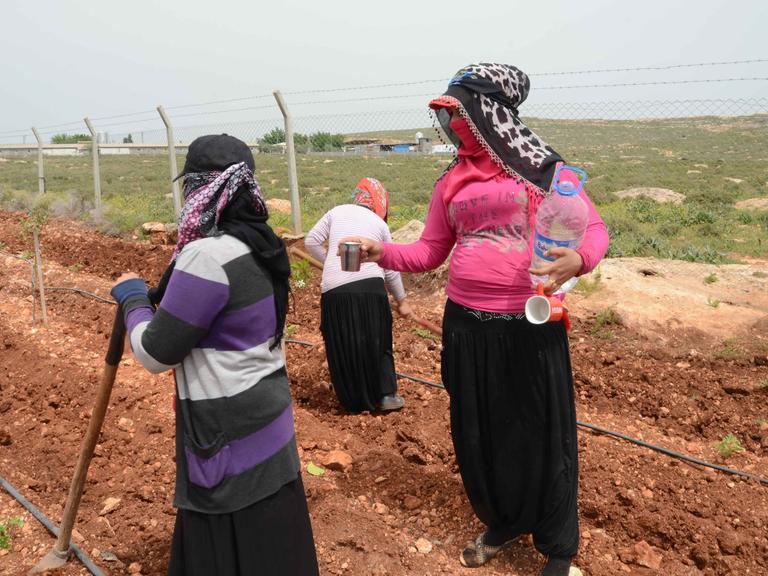 Syrische Erntehelfer nahe Adana: eine der Arbeiterinnen teilt Wasser aus. Gegen die sengende Sonne haben die Frauen die Gesichter vermummt.