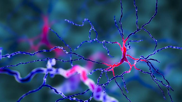 Genetik in der Psychiatrie - Zu den Wurzeln der Schizophrenie