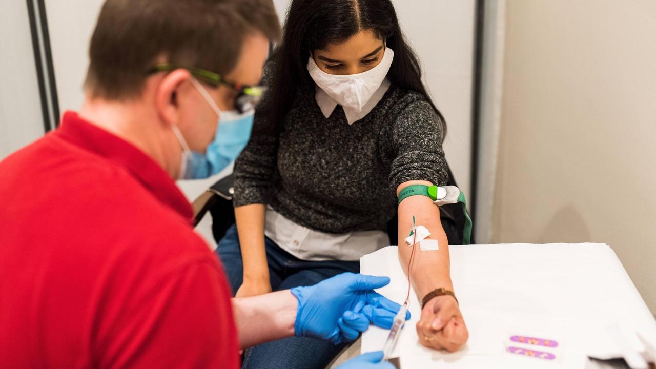 Eine Frau bekommt Blut für einen Corona-Antikörpertest abgenommen