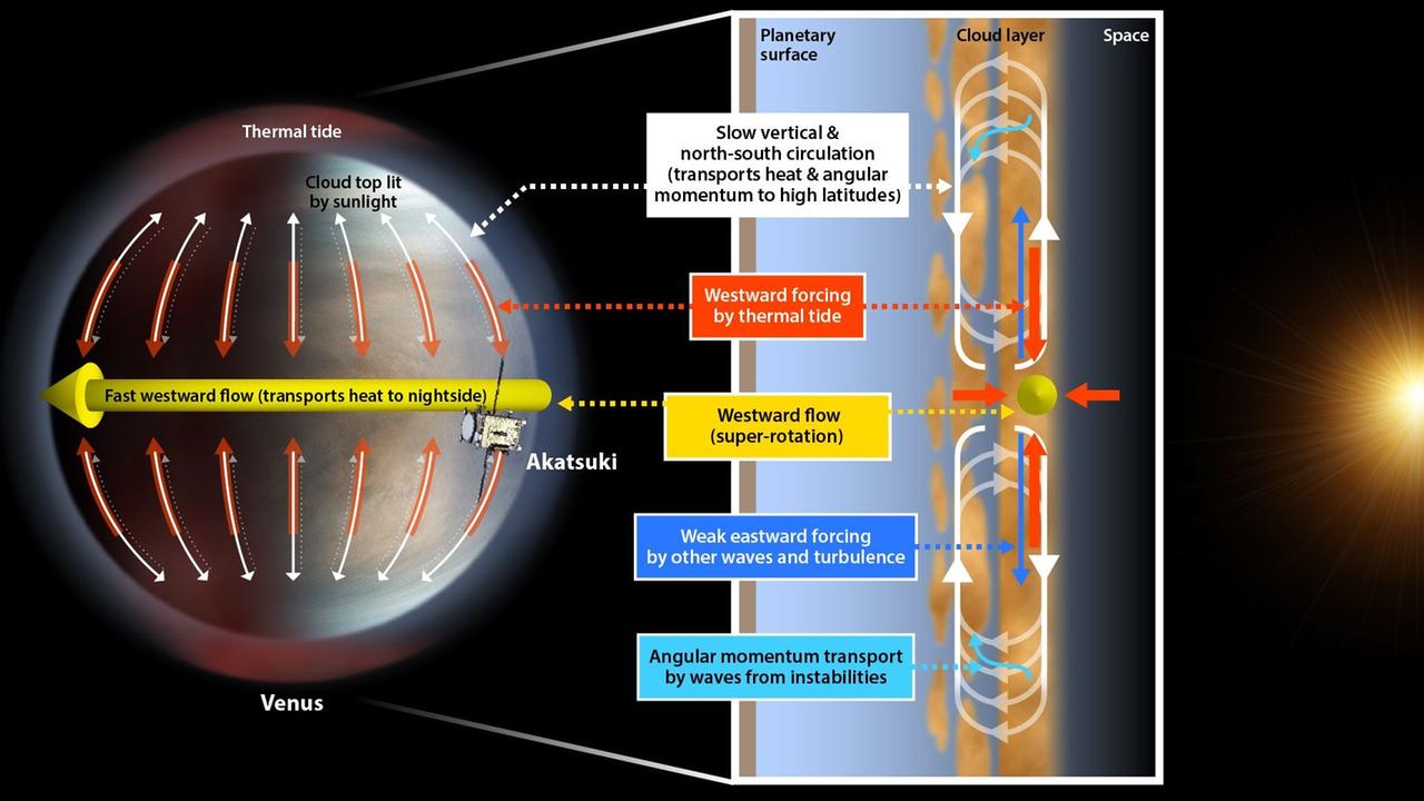 Diese Grafik erklärt die Entstehung der Superrotation innerhalb der oberen Venusatmosphäre, die durch die Temperaturunterschiede zwischen Tag- und Nachtseite der Venus ausgelöst wird (PCPT)