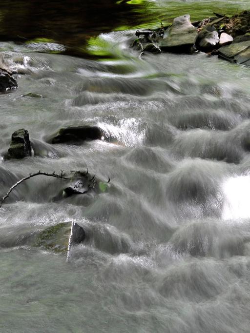 Wasser fließt durch einen Bach.