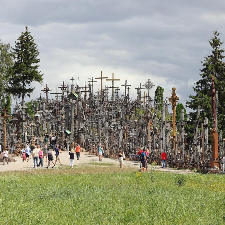 Ein Farbfoto zeigt eine Anhöhe auf einer Wiese übersät unzähligen Metallkreuzen jeglicher Größe