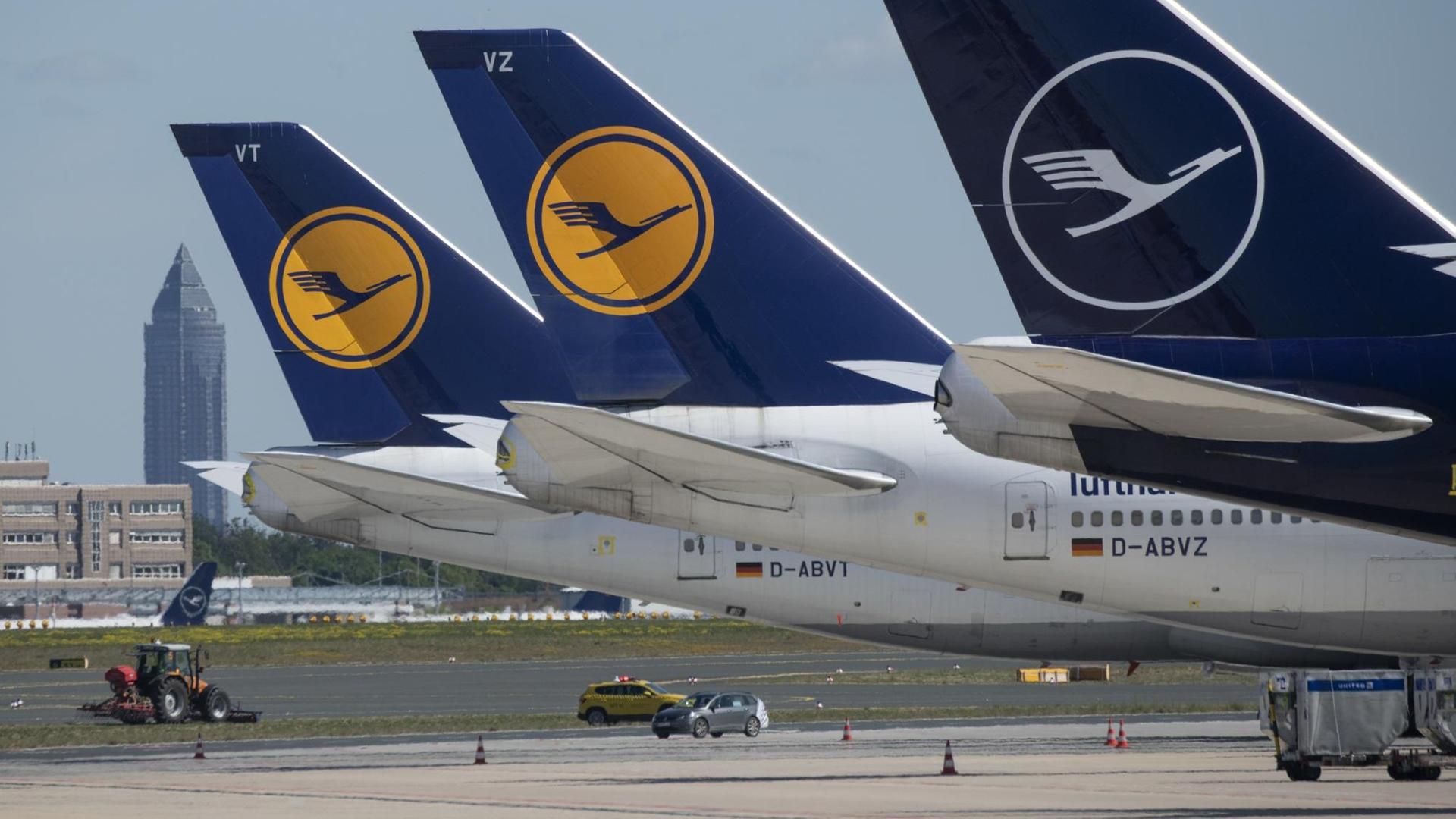 Lufthansa-Flieger stehen auf dem Frankfurter Flughafen.