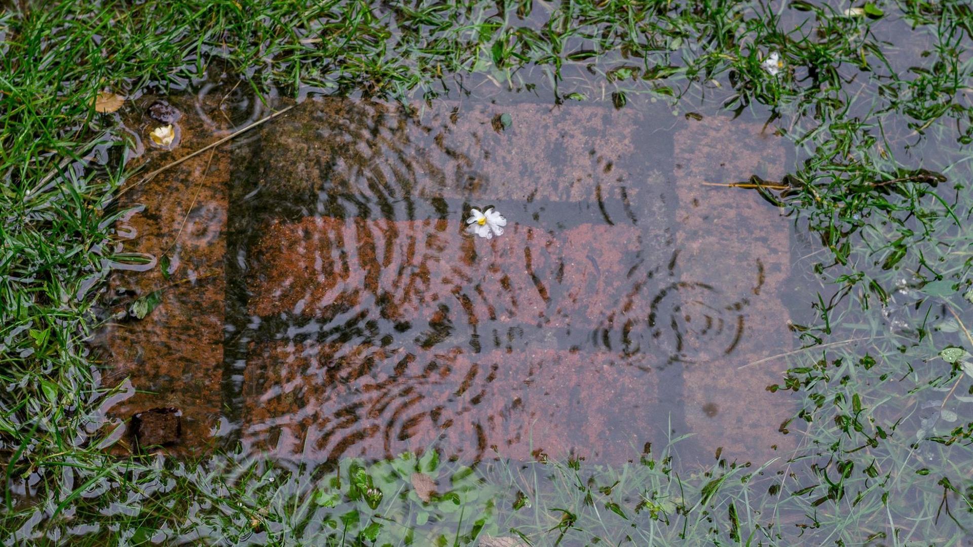 Überfluteter Gartenweg nach starken Regenfällen