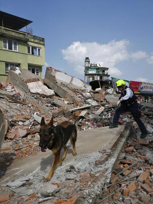 US-Rettungskräfte suchen Überlebende. 20 Menschen werden bei einem Nachbeben in der Hauptstadt Kathmandu getötet