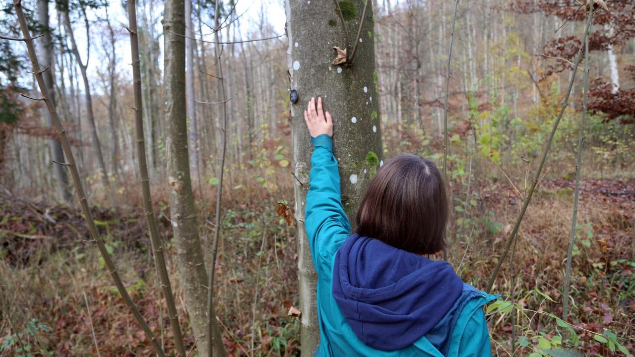Ein junges Mädchen, von hinten zu sehen, berührt einen Baumstamm, auf dem ein kleines rundes Schild mit der Grabnummer EBS 679 hängt.