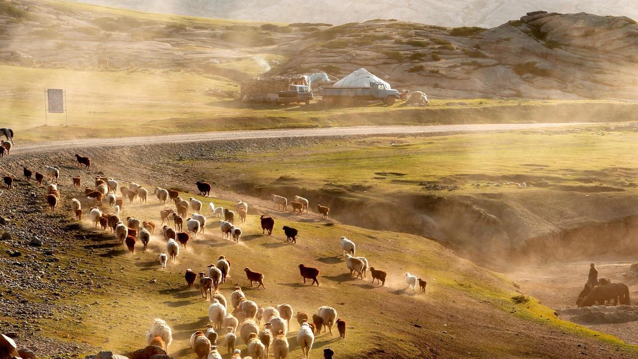 Kasachische Nomaden treiben ihre Herden durch Xinjiang-Region.