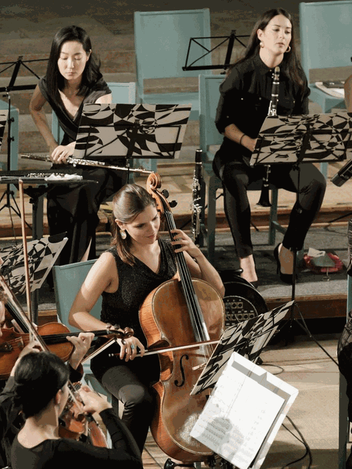 Das c/o chamber orchestra