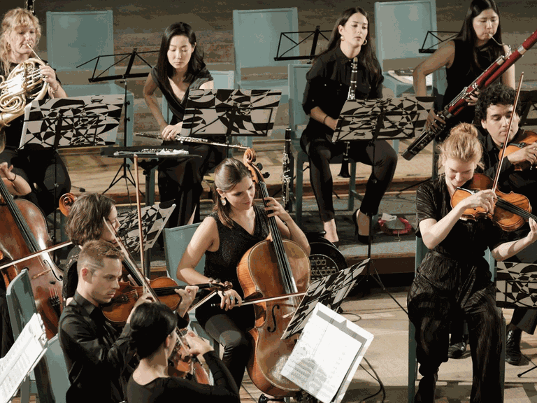 Das c/o chamber orchestra