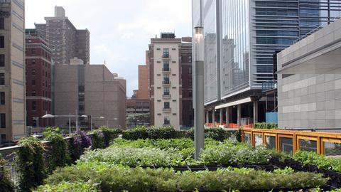 Der Garten des Restaurants "Riverpark" in Manhattan (New York). Die Beete des Gartens wurden in Milchtragekästen aus Plastik angelegt. New York ist bekannt für Wolkenkratzer und Straßenschluchten, aber die Millionenmetropole ist auch überraschend grün - und wird immer grüner. Mit "Urban Gardening" kehren viele Einwohner zurück zur Natur - ob aus Gesundheitsbewusstsein oder purer Notwendigkeit.