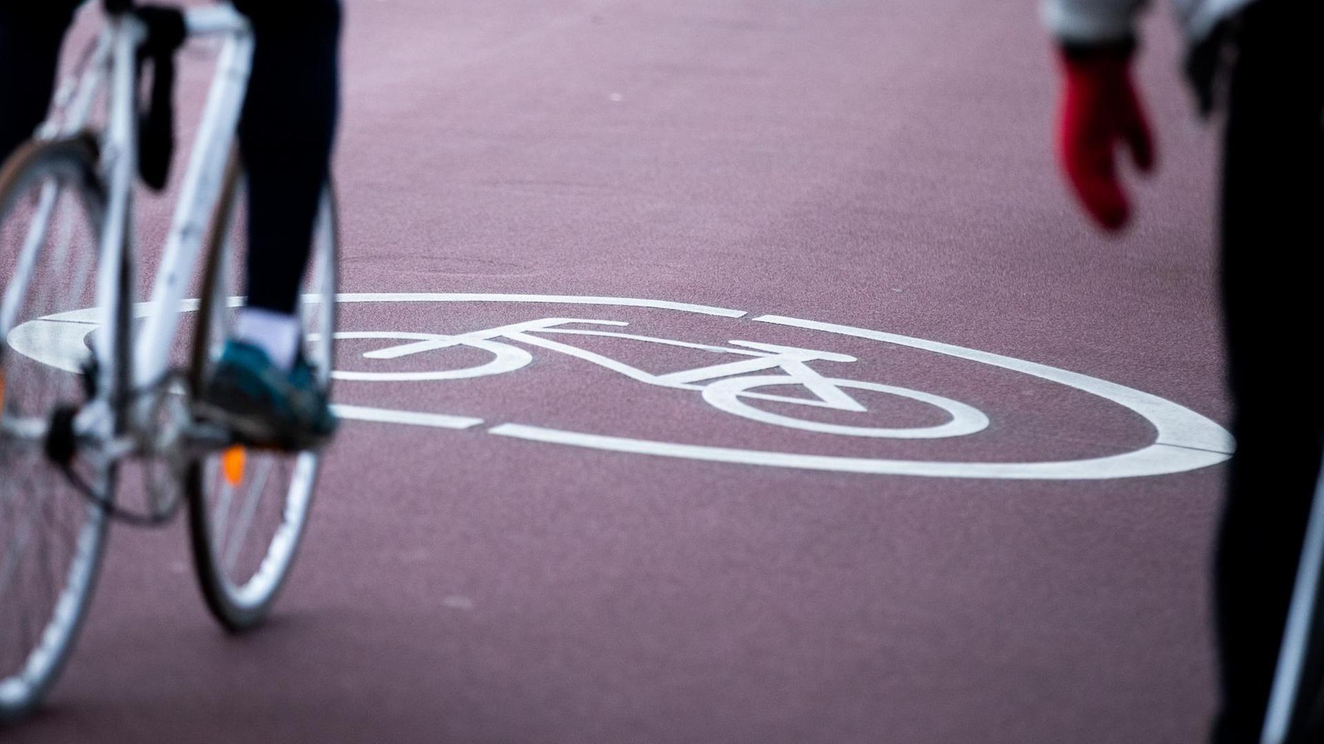Ein Fahrradfahrer befährt eine Fahrradstraße, auf dem Asphalt ist ein Fahrradsymbol zu sehen.