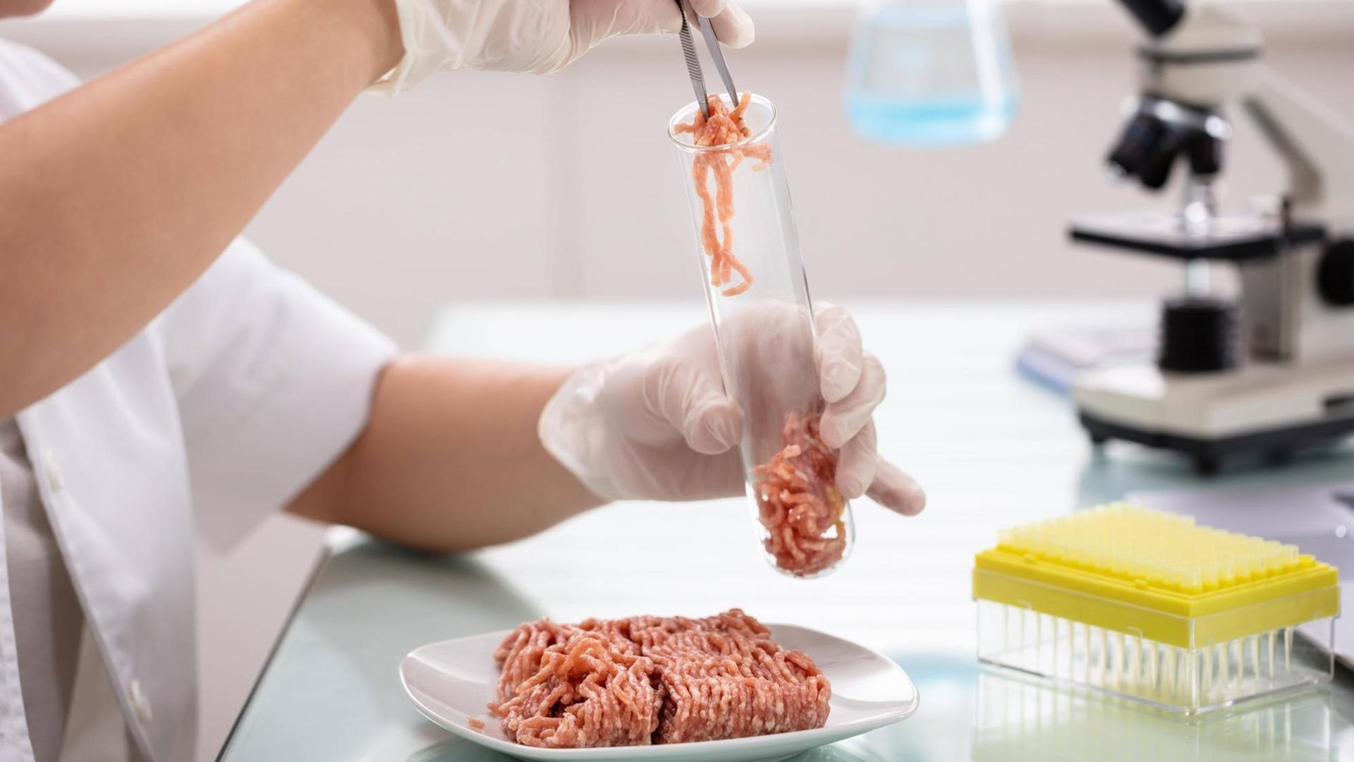 Wissenschaftler*in setzt eine Fleischprobe mit einer Pinzette in ein Reagenzglas