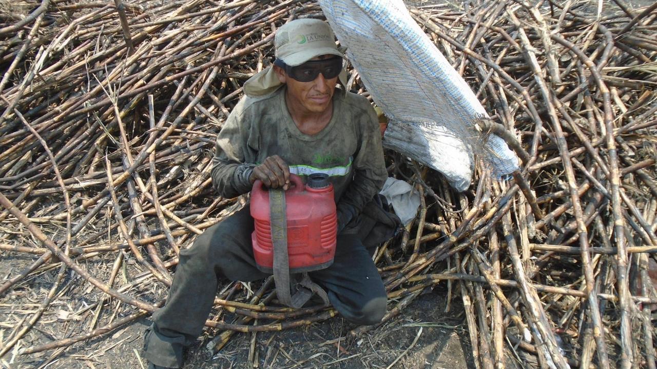 Eine Zuckerrohrerntearbeiter macht einen Moment Pause im Schatten.