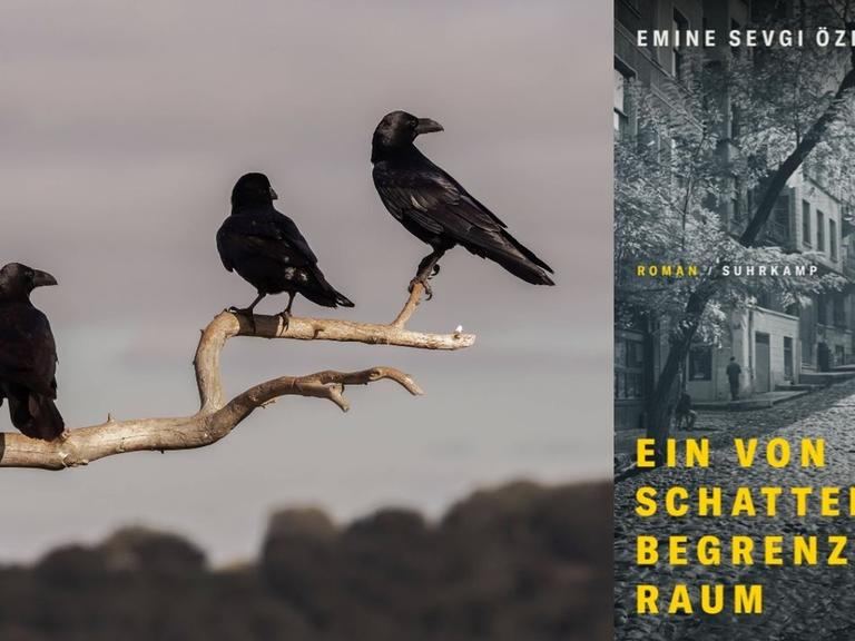 Emine Sevgi Özdamar: "Ein von Schatten begrenzter Raum" Zu sehen ist das Buchcover und ein Foto, auf dem drei Krähen auf einem Ast sitzen