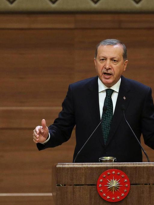 Der türkische Präsident Recep Tayyip Erdogan gestikuliert während einer Rede im Präsidentenpalast.